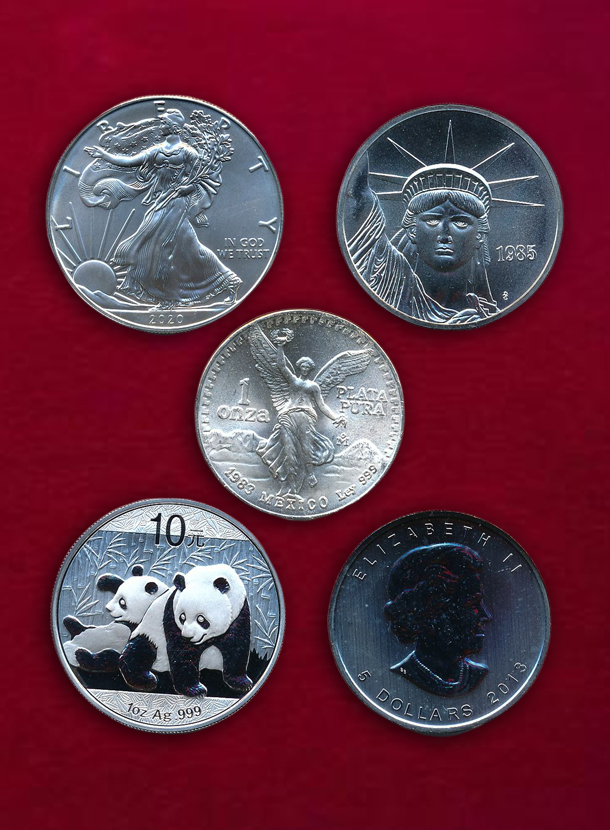 【 複数国 】 1オンス銀貨・銀メダル　5枚組